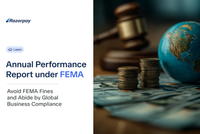 Annual Performance Report under FEMA